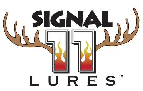 signal11_500.png