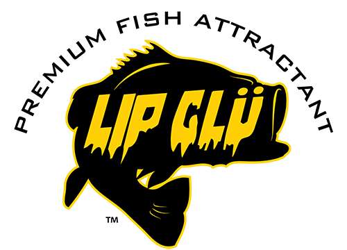 LipGlu_Logo_500.png